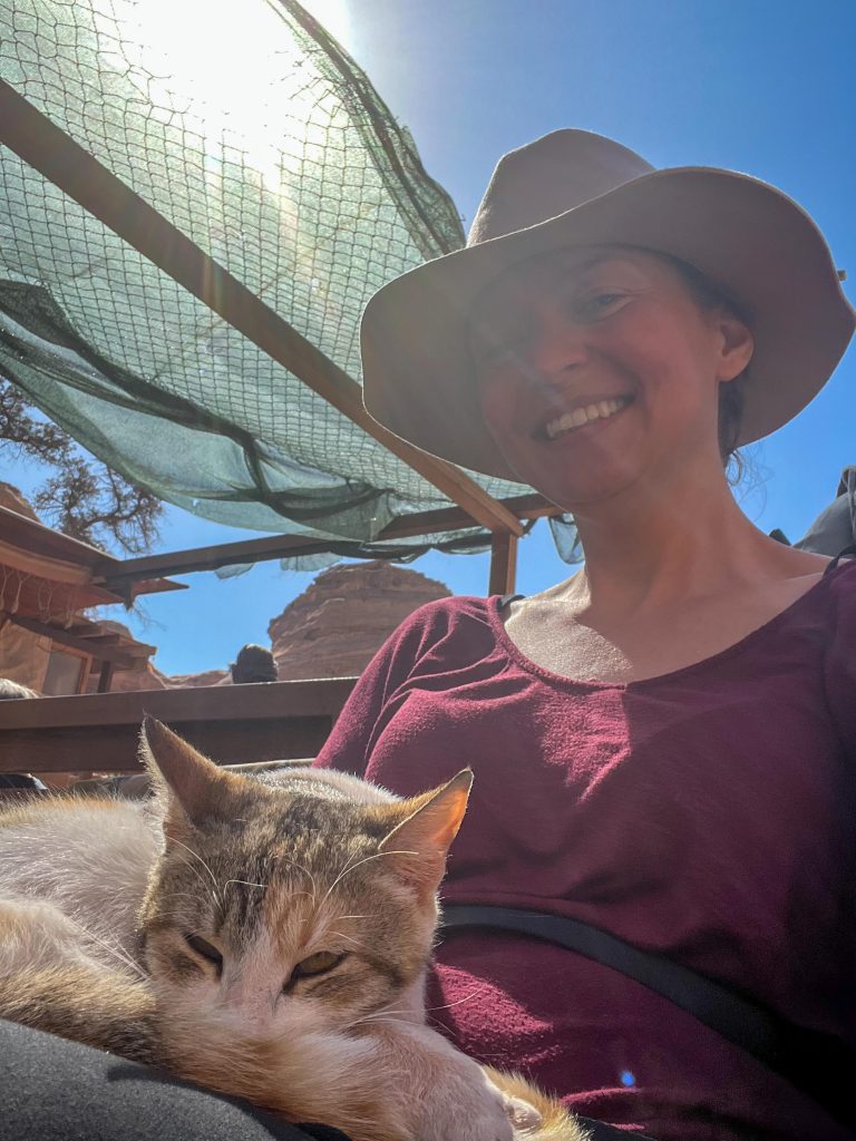 A woman in a hat and sunglasses is holding a cat.