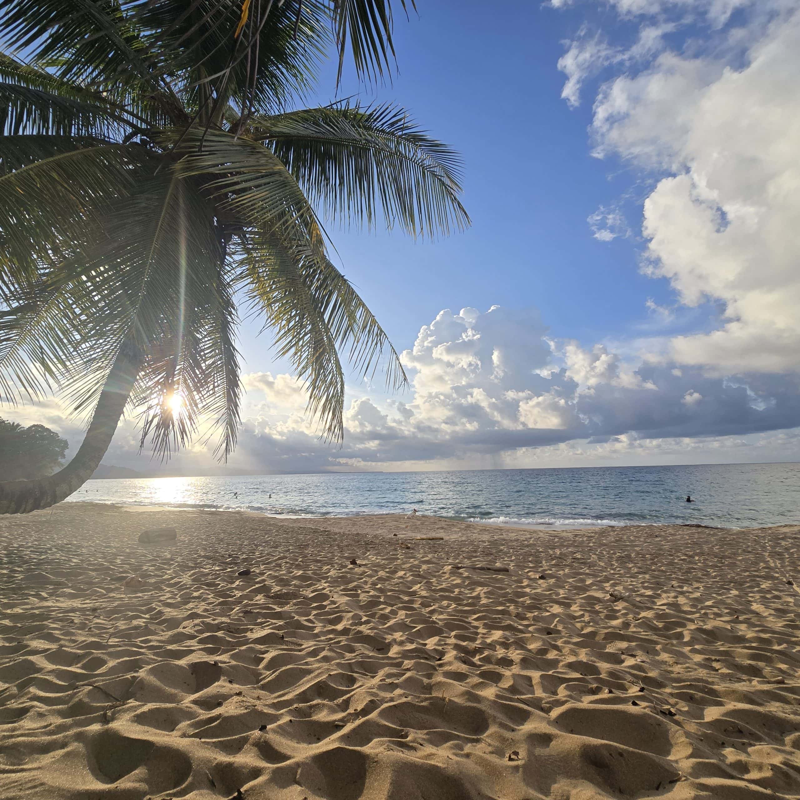 Where to Stay in Puerto Viejo